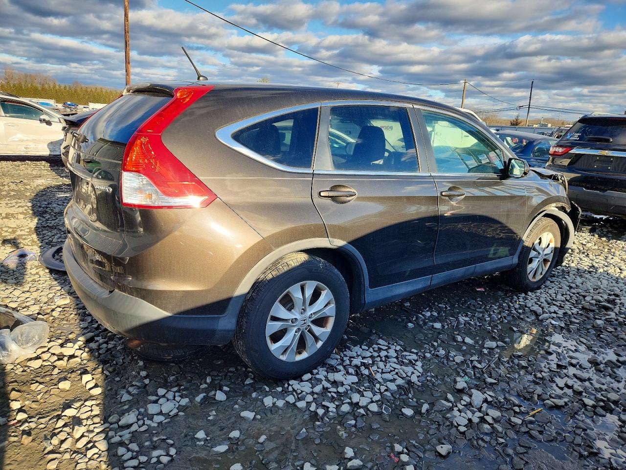 2014 HONDA CR-V EX photo 3