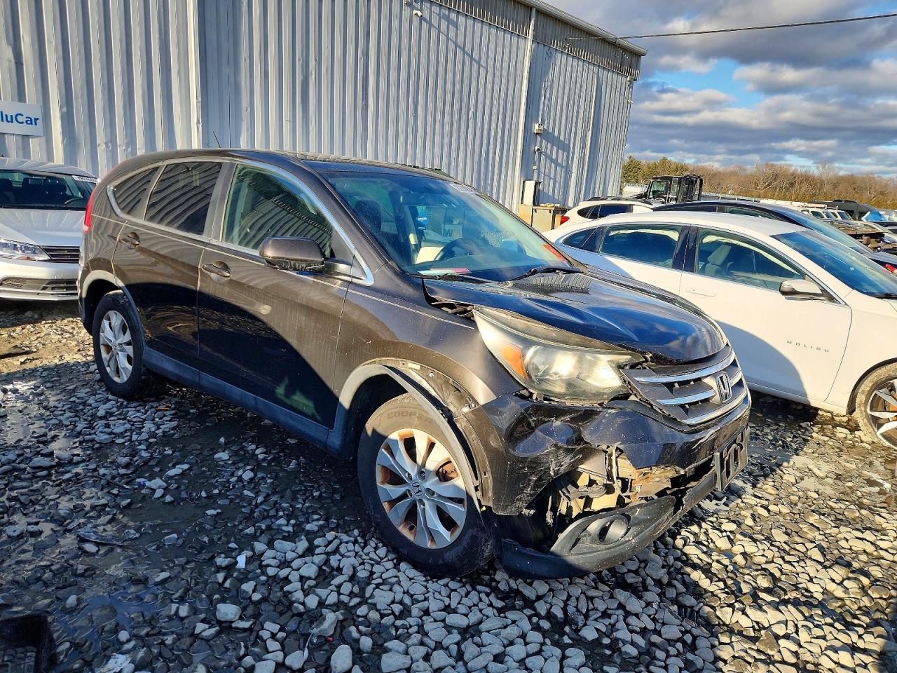 2014 HONDA CR-V EX photo 4