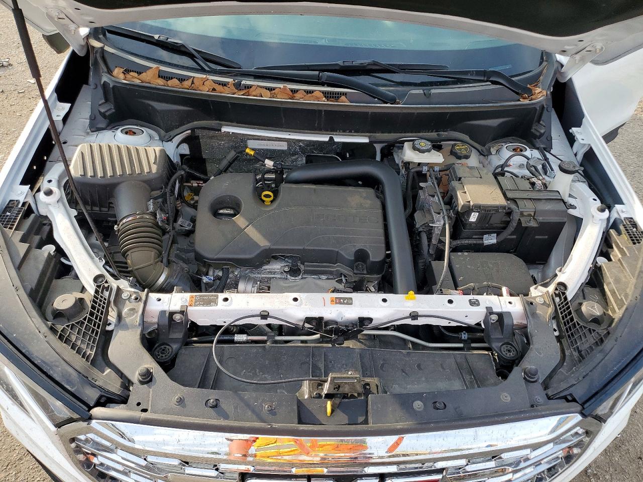 2024 GMC TERRAIN SLE photo 12