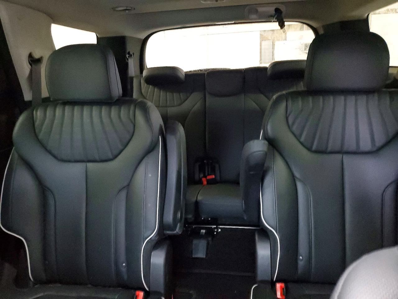 2024 HYUNDAI PALISADE LIMITED photo 10