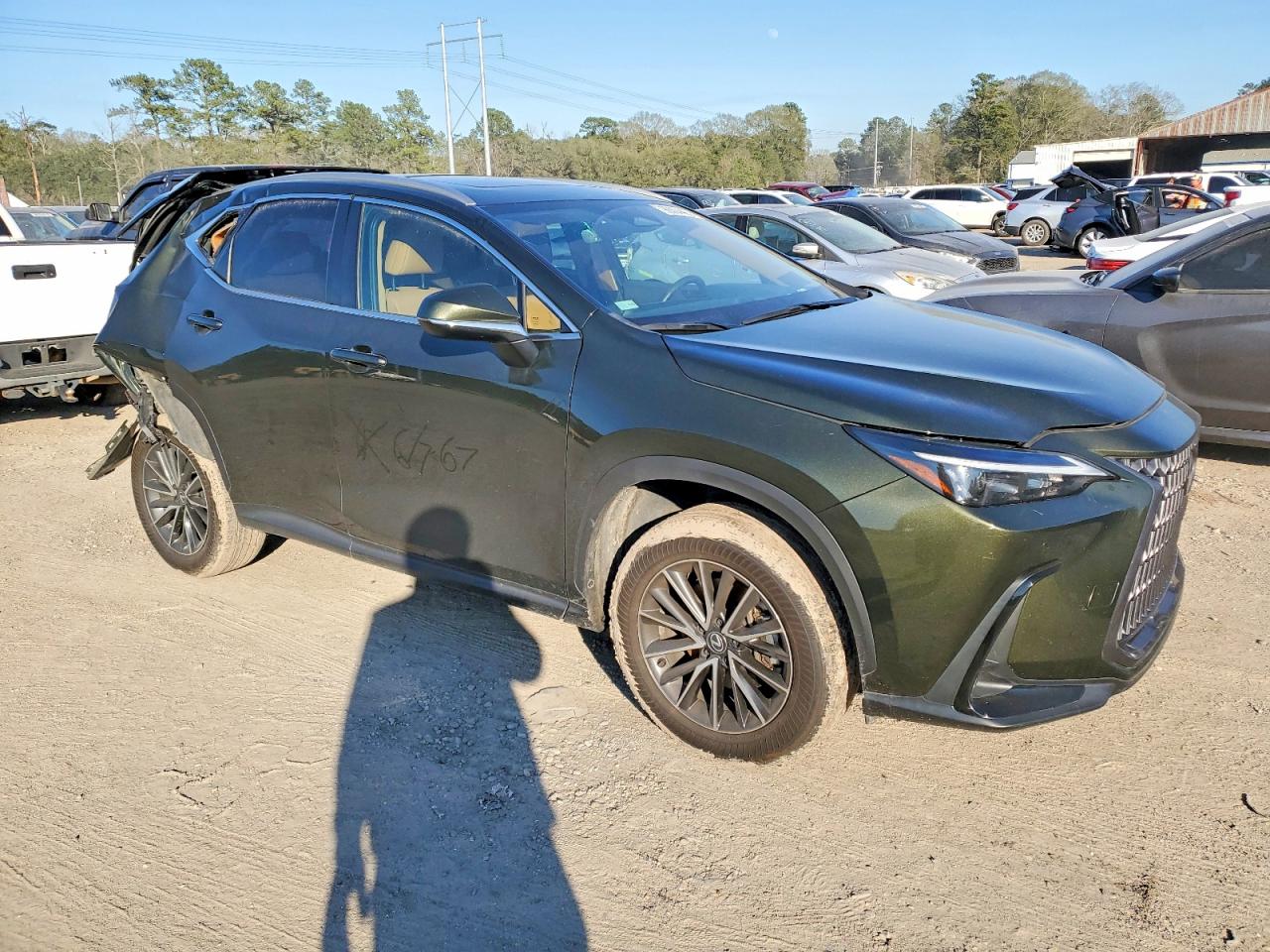 2024 LEXUS NX 250 PREMIUM photo 4