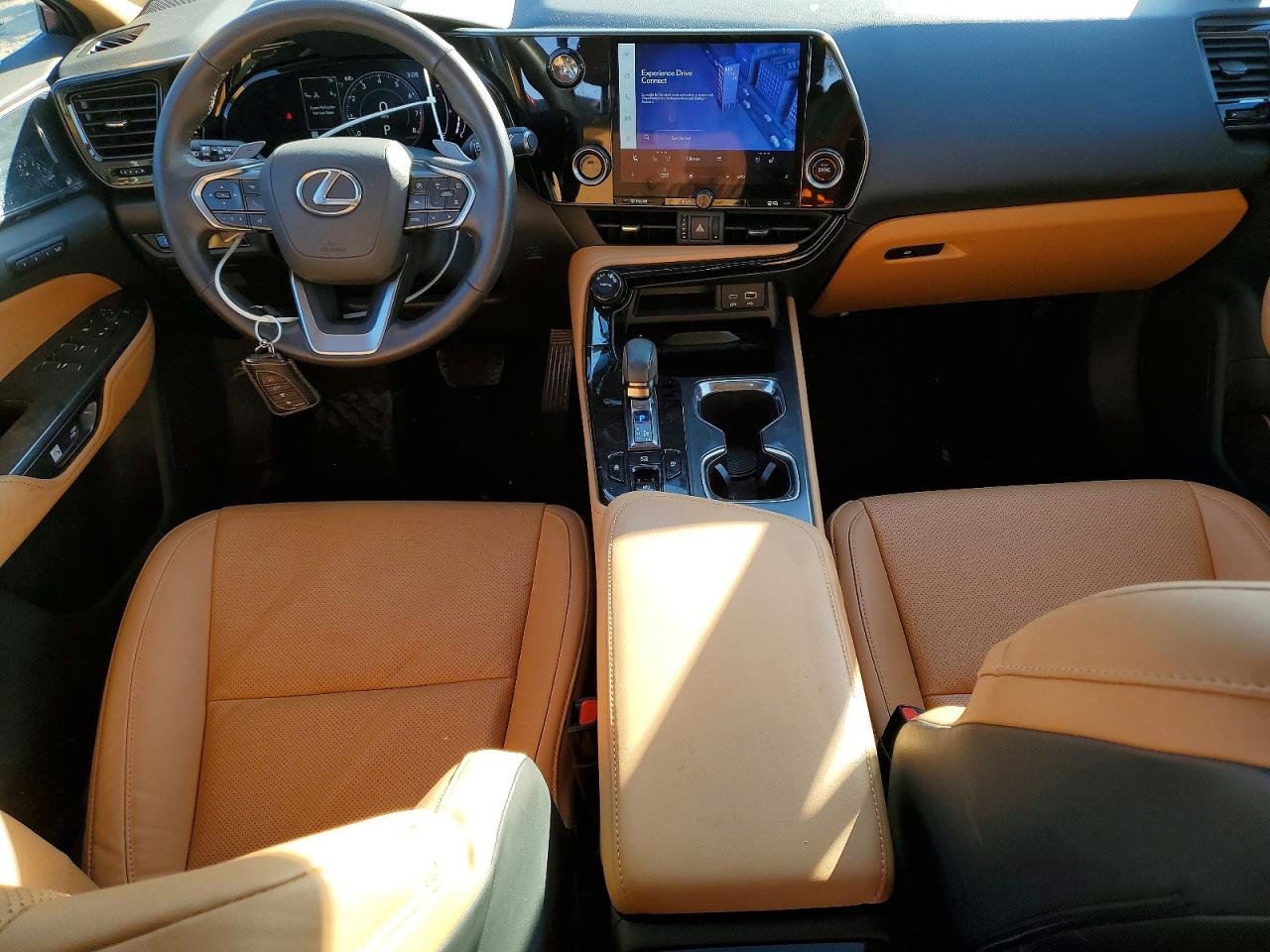 2024 LEXUS NX 250 PREMIUM photo 8