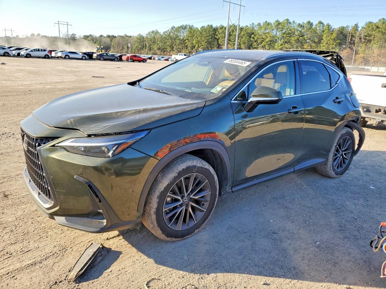 2024 LEXUS NX
