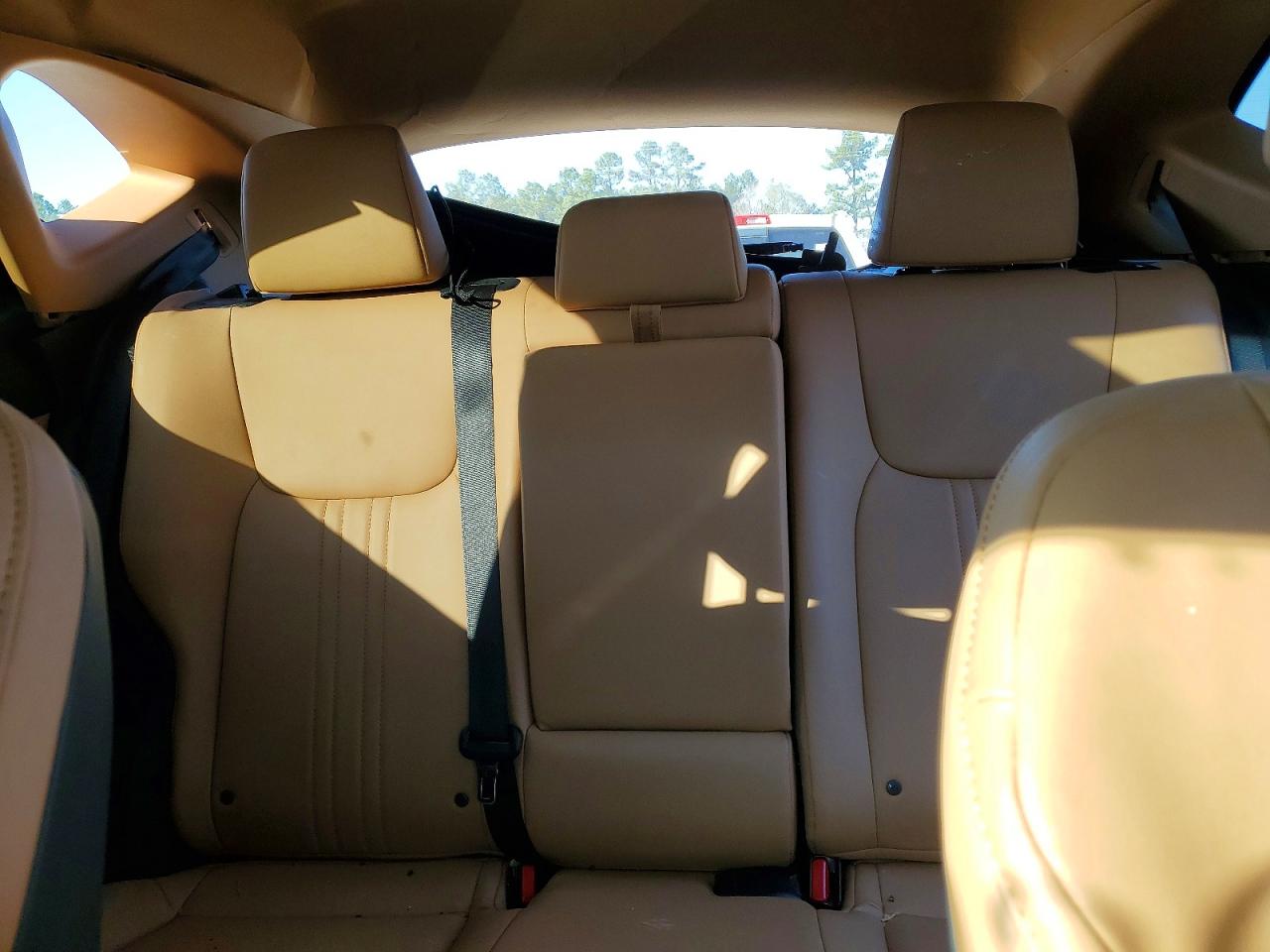 2024 LEXUS NX 250 PREMIUM photo 10
