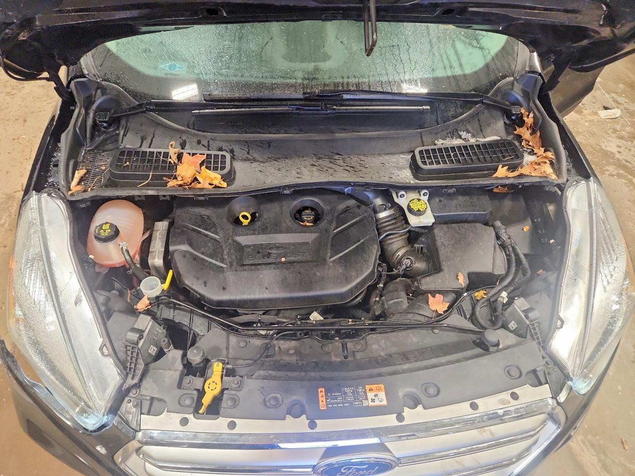 2017 FORD ESCAPE TITANIUM photo 12
