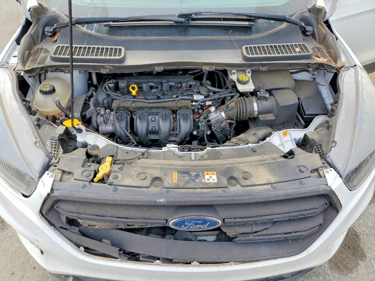 2019 FORD ESCAPE S photo 12