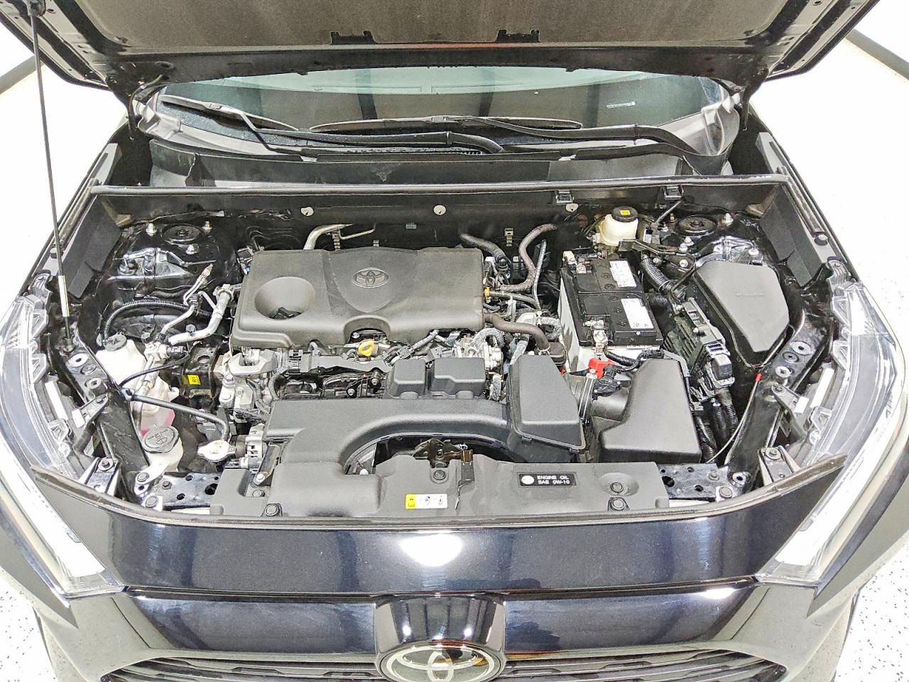 2025 TOYOTA RAV4 XLE photo 12