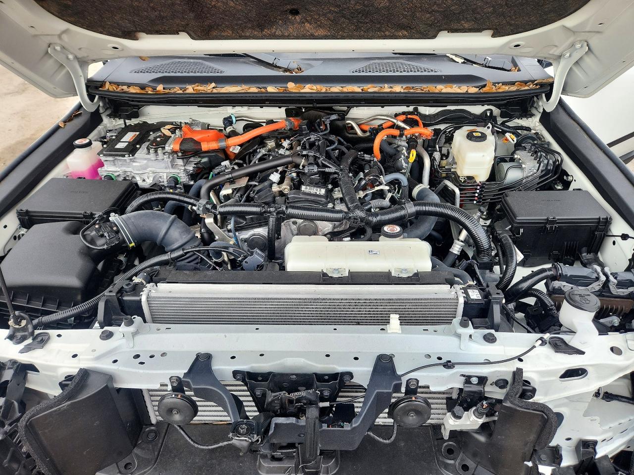 2025 TOYOTA LAND CRUISER BASE photo 12
