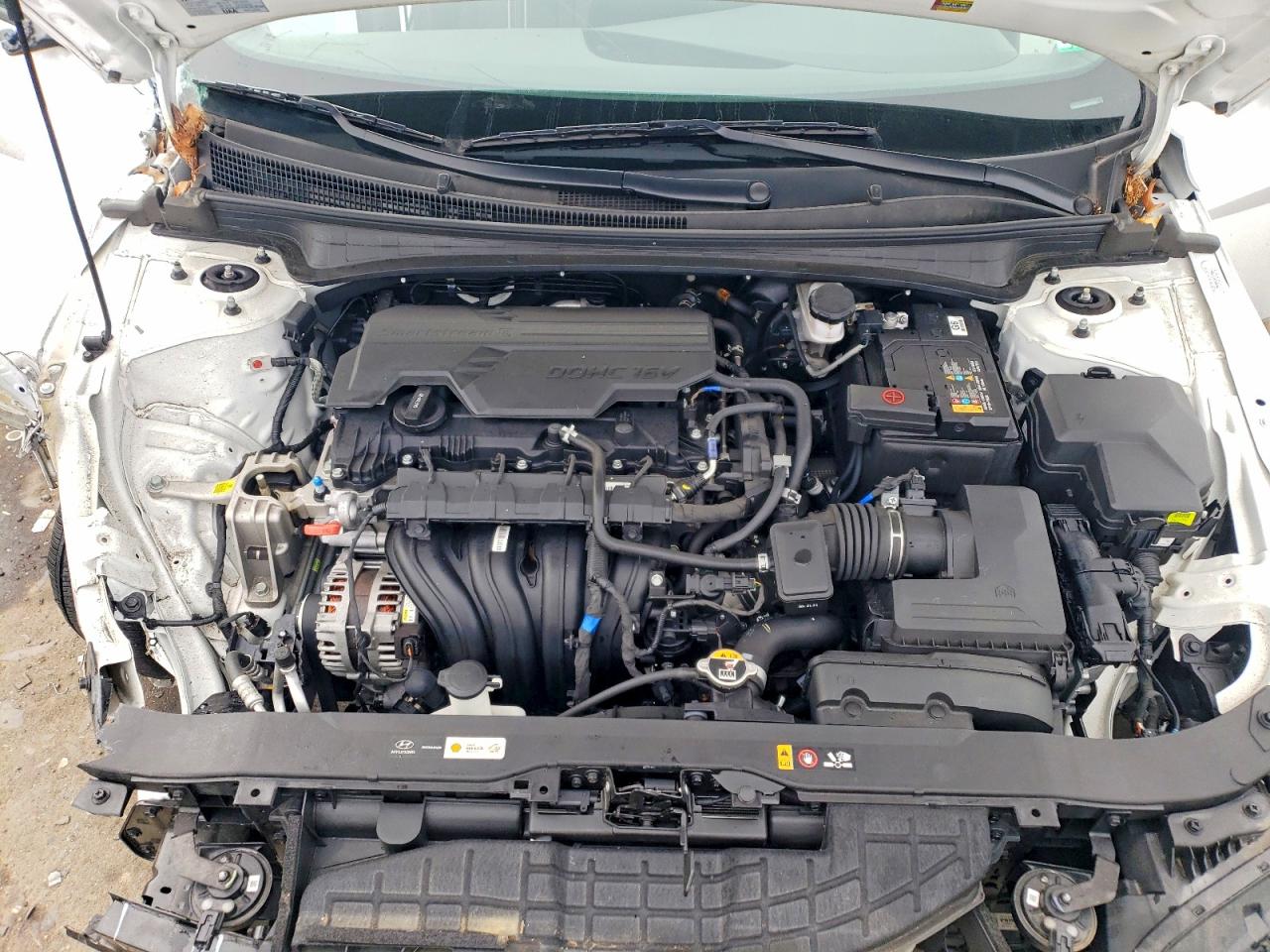 2024 HYUNDAI ELANTRA SEL photo 11
