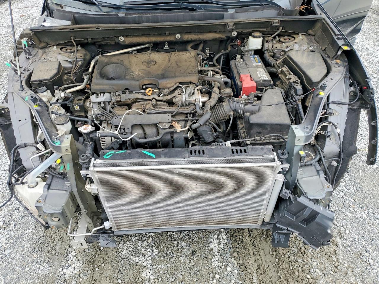 2019 TOYOTA RAV4 LE photo 12