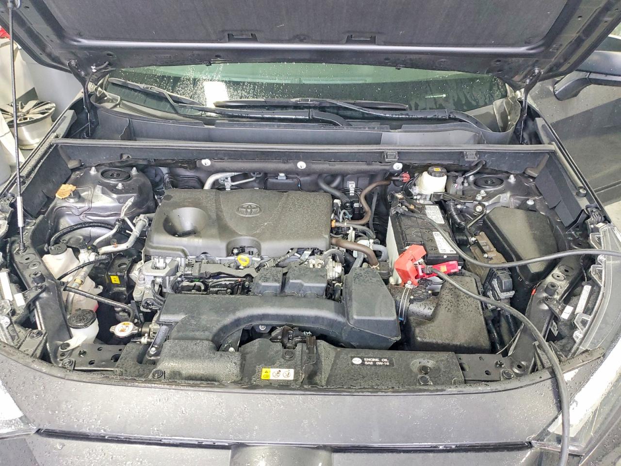2025 TOYOTA RAV4 LE photo 12