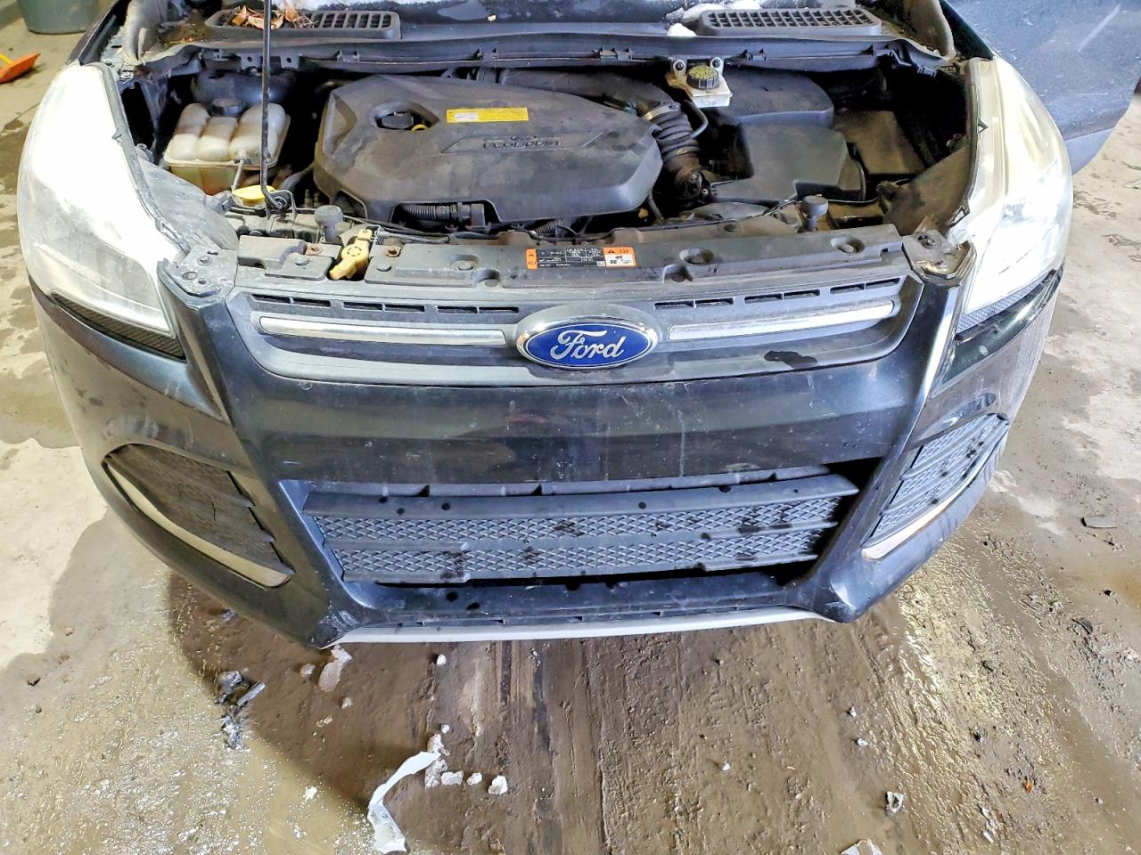 2015 FORD ESCAPE SE photo 12