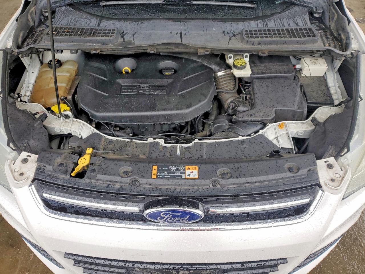 2014 FORD ESCAPE TITANIUM photo 11