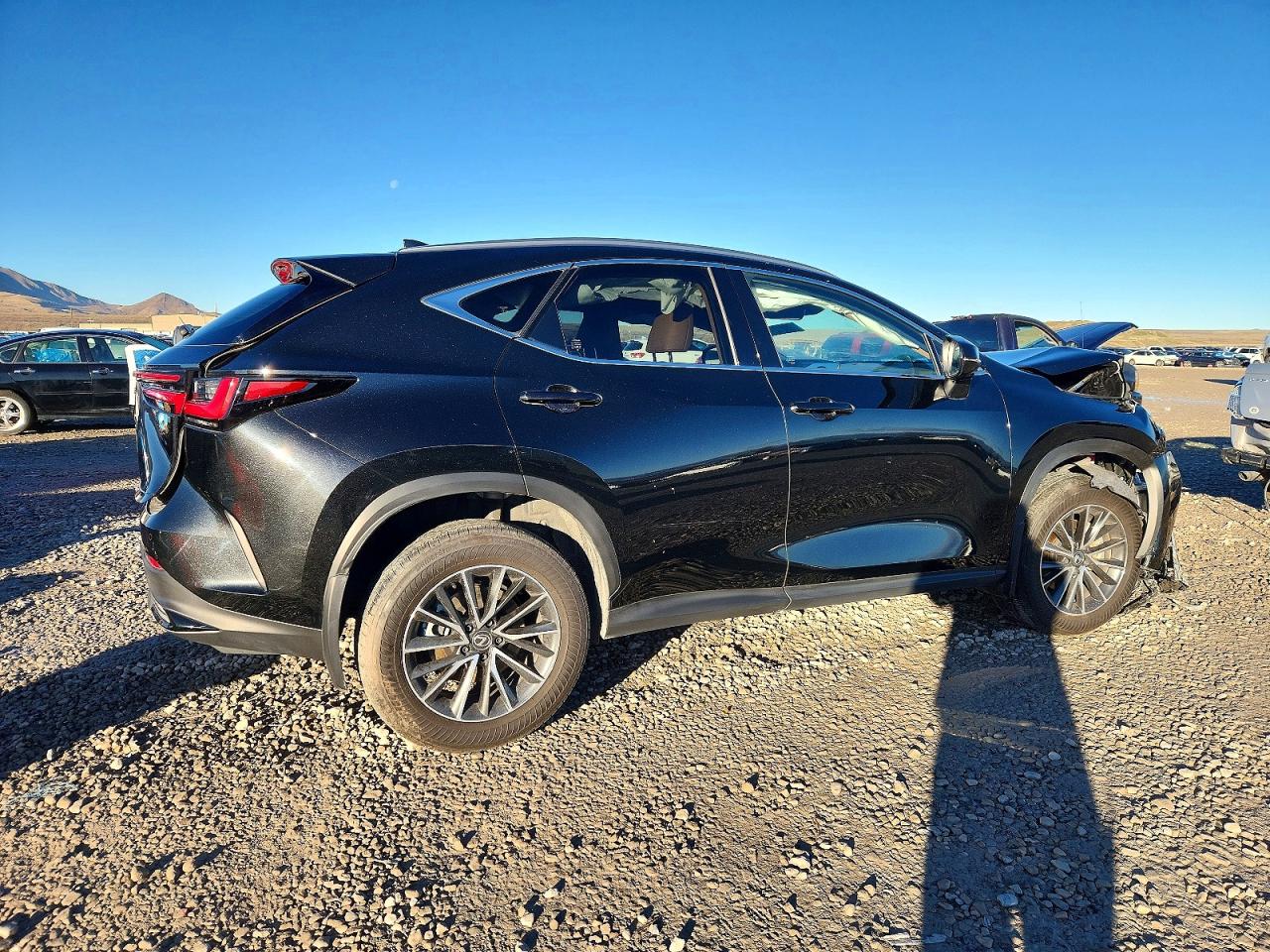 2025 LEXUS NX 350H BASE photo 5