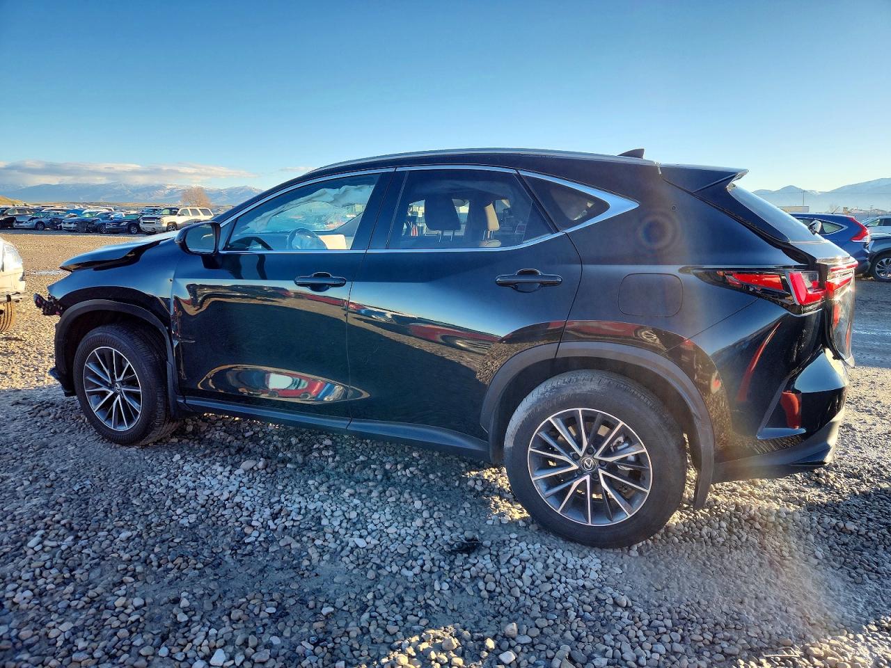 2025 LEXUS NX 350H BASE photo 3