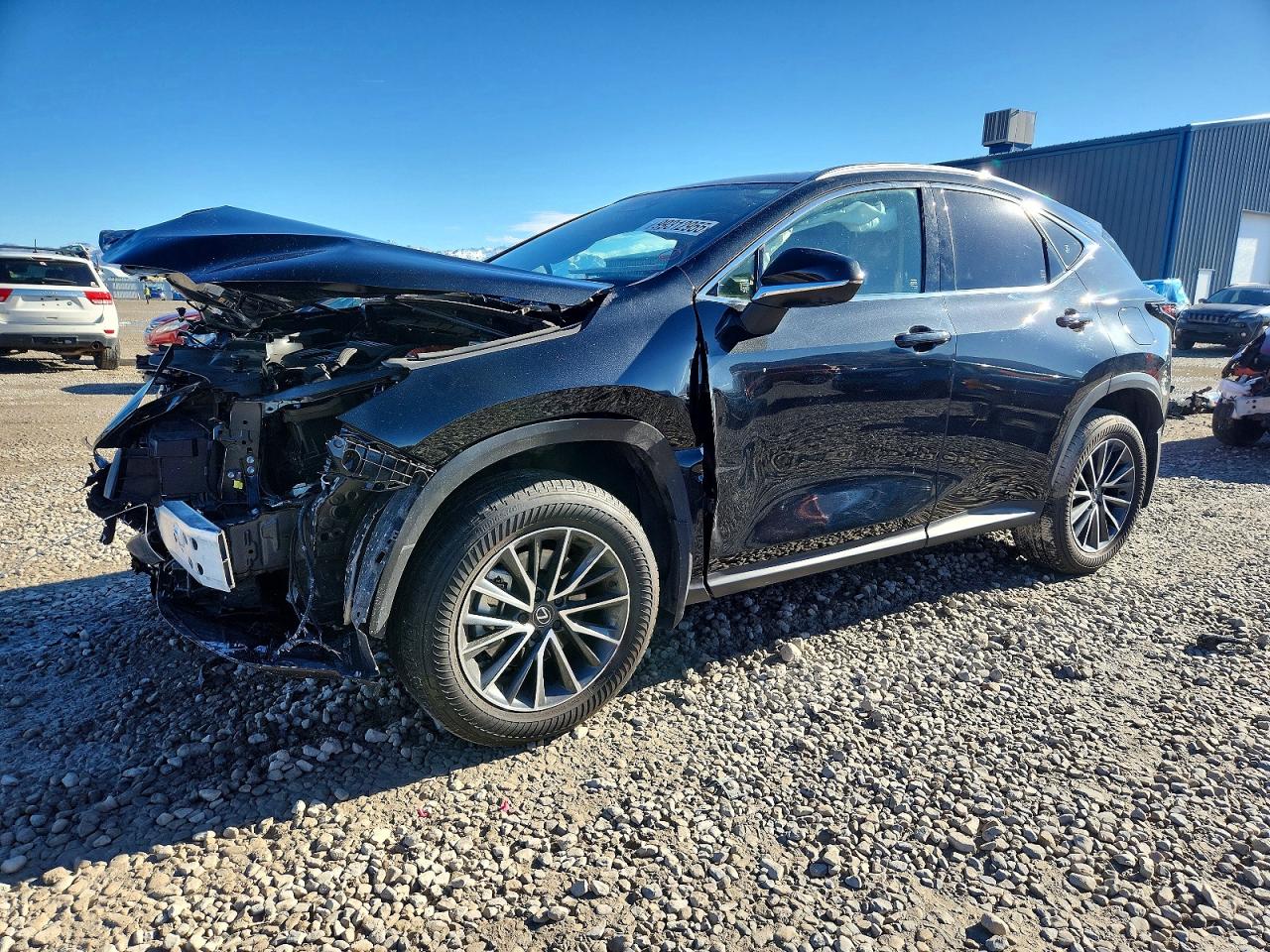 2025 LEXUS NX