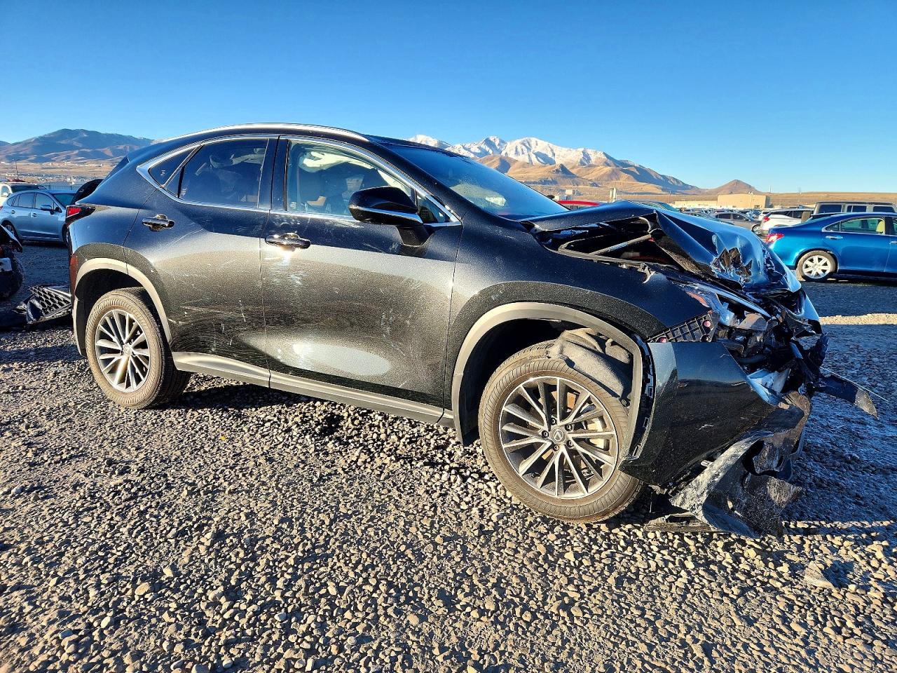 2025 LEXUS NX 350H BASE photo 7