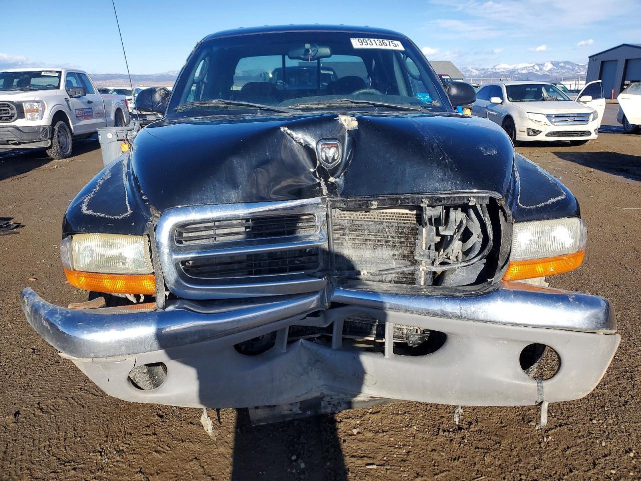 2000 DODGE DAKOTA QUAD photo 9