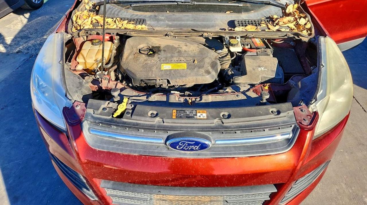 2014 FORD ESCAPE SE photo 11