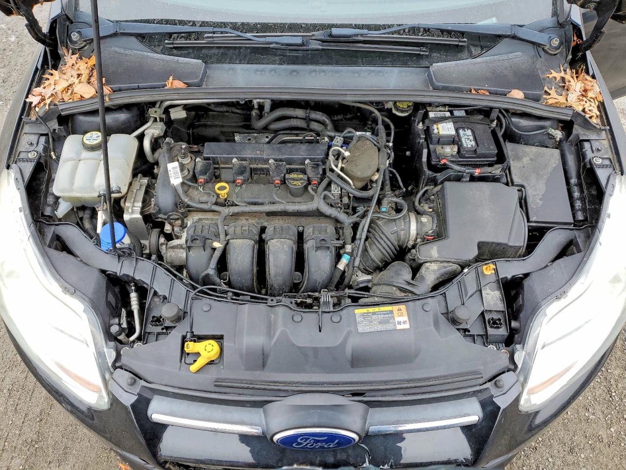 2013 FORD FOCUS SE photo 11