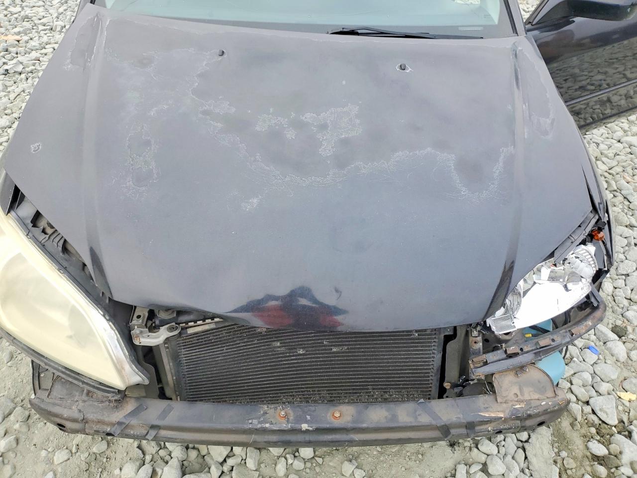 2004 HONDA CIVIC EX photo 11