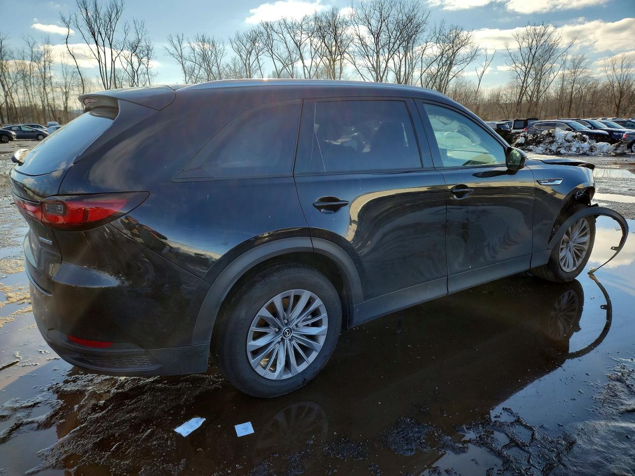 2025 MAZDA CX-90 PREFERRED photo 3