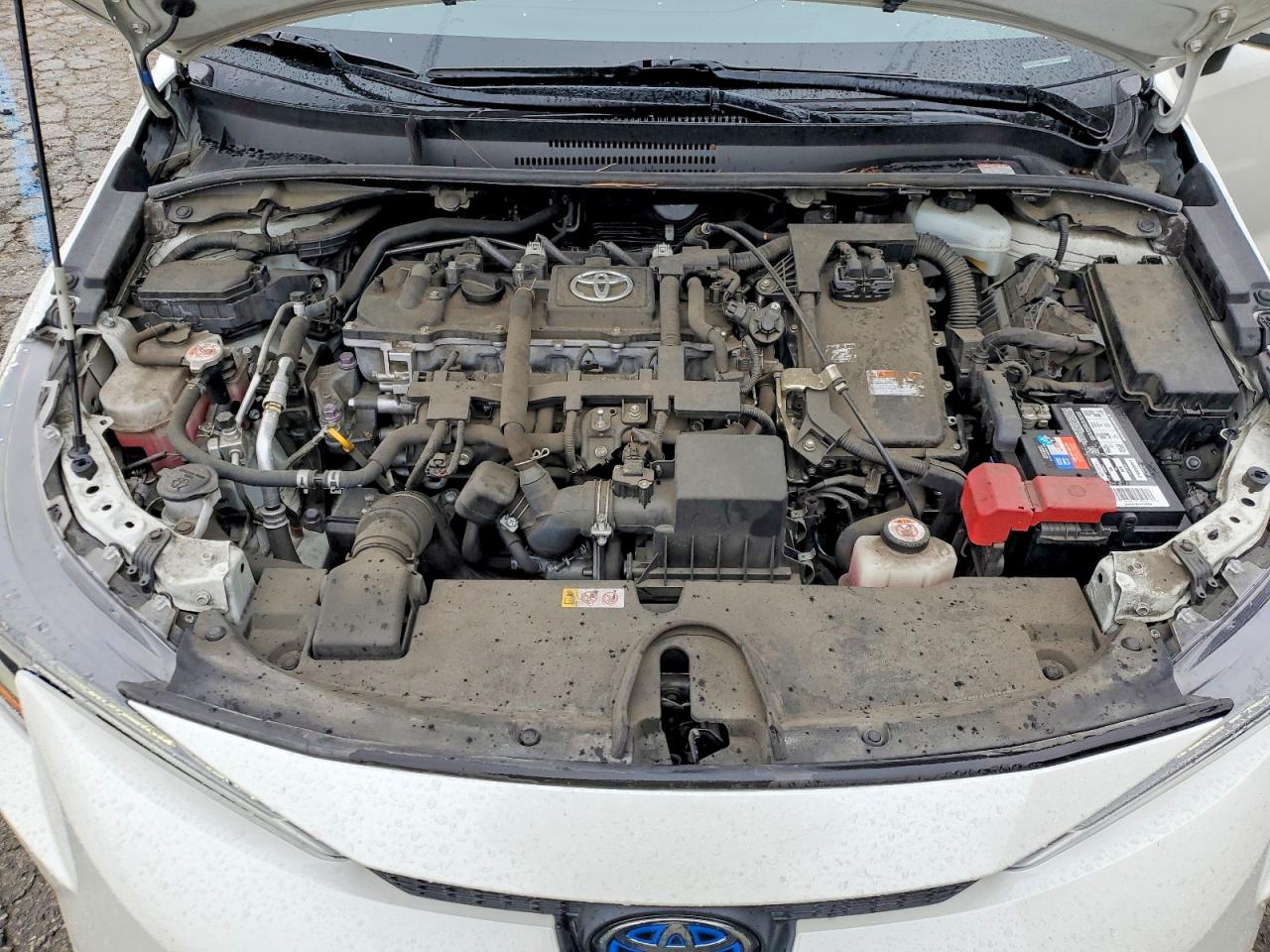 2021 TOYOTA COROLLA LE photo 11