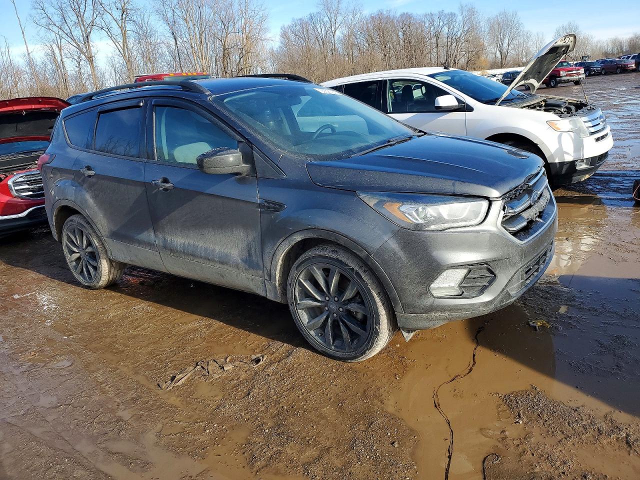 2019 FORD ESCAPE SE photo 4
