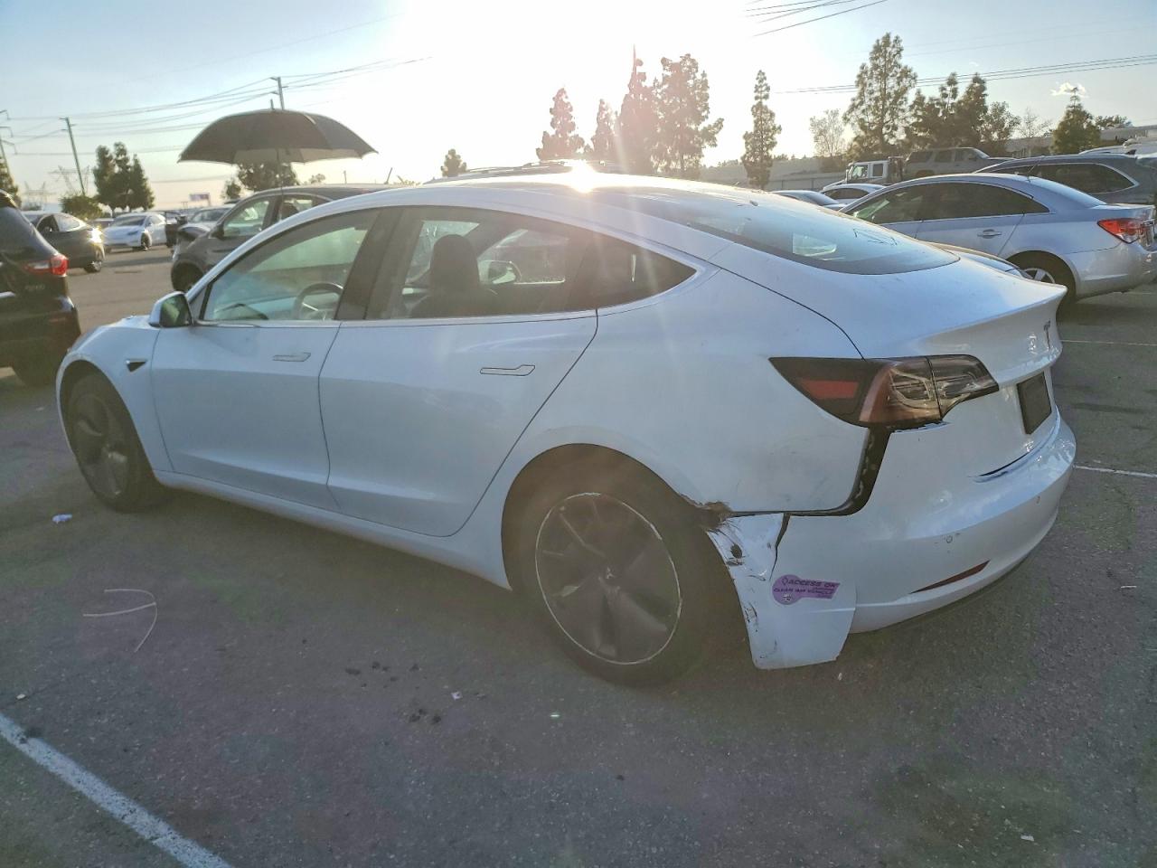 2019 TESLA MODEL 3 photo 2