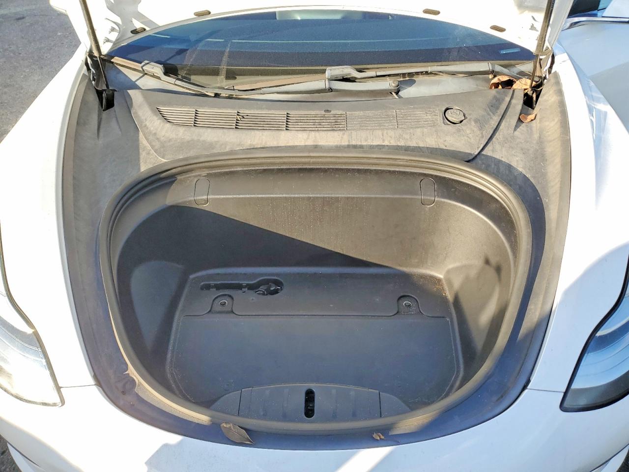 2019 TESLA MODEL 3 photo 11