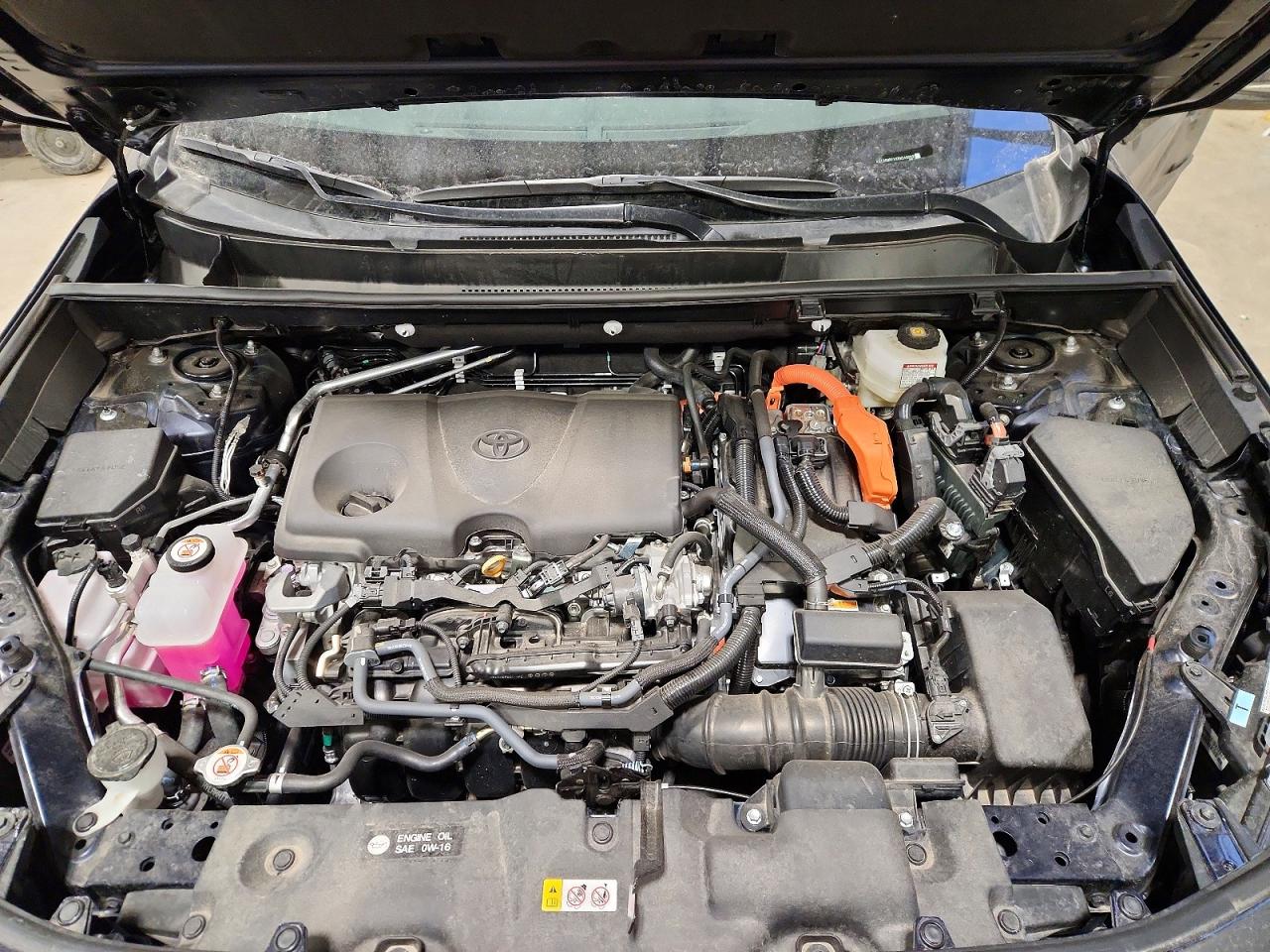 2024 TOYOTA RAV4 XLE photo 23