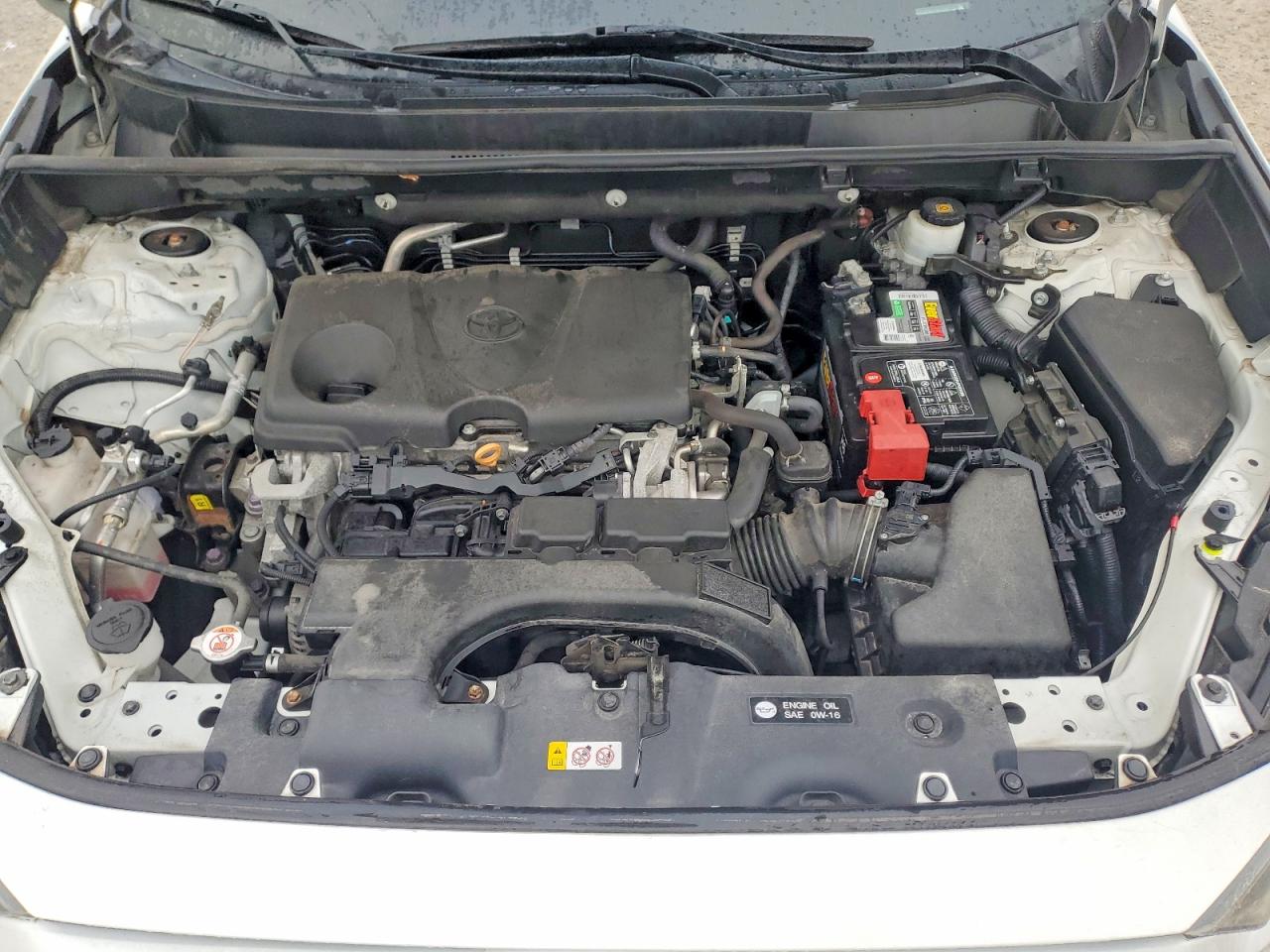 2019 TOYOTA RAV4 LE photo 19
