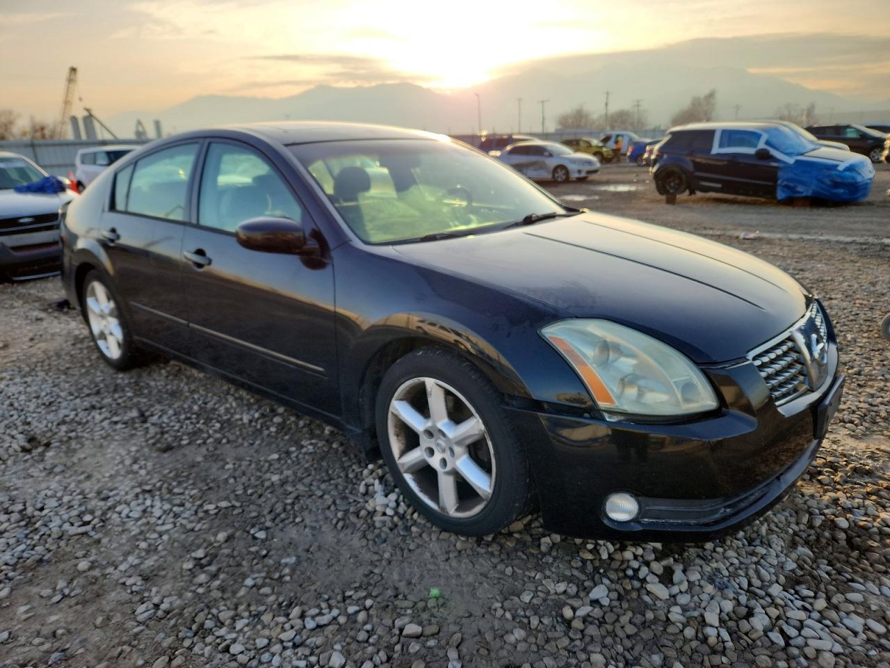 2006 NISSAN MAXIMA SE photo 4