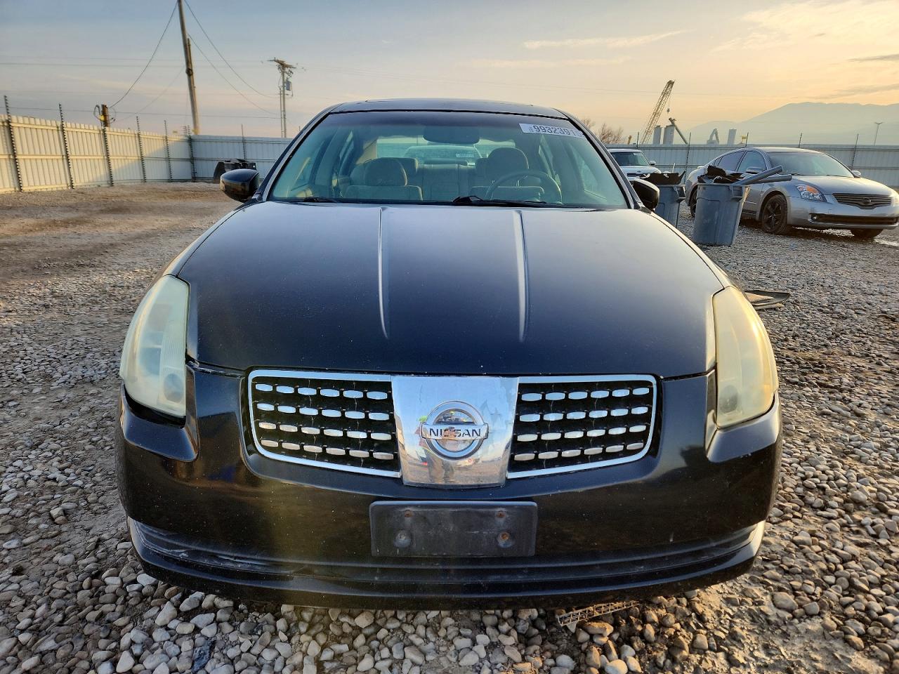 2006 NISSAN MAXIMA SE photo 5
