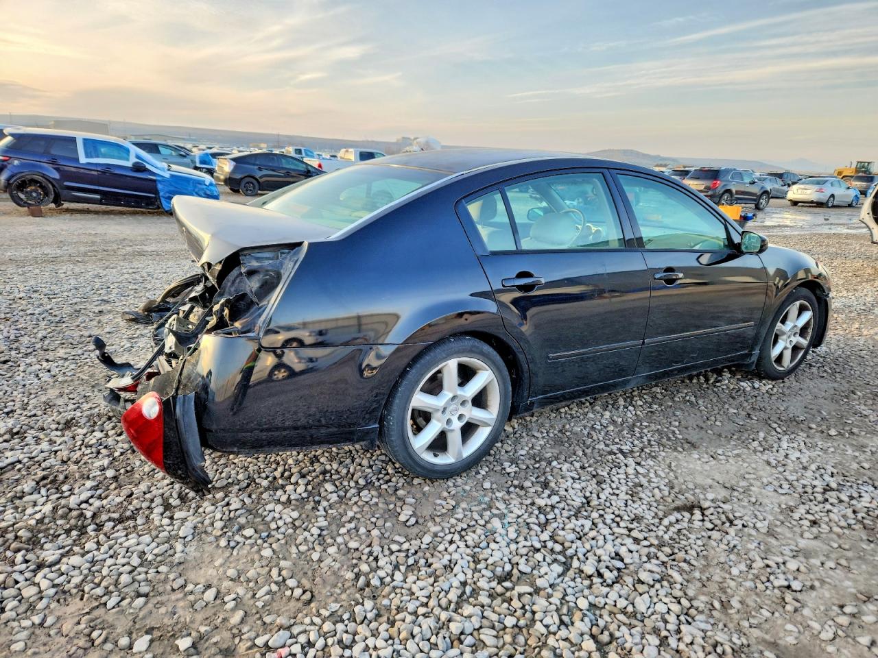 2006 NISSAN MAXIMA SE photo 3