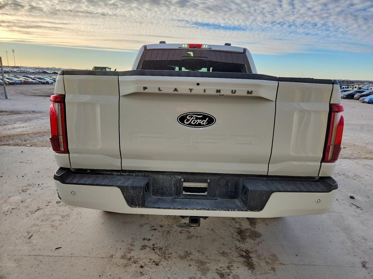 2024 FORD F150 PLATINUM photo 6