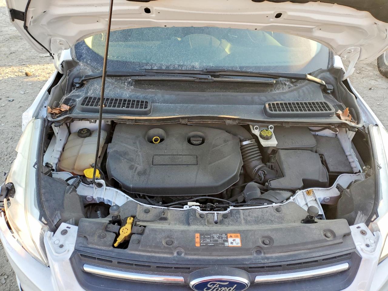 2015 FORD ESCAPE SE photo 12
