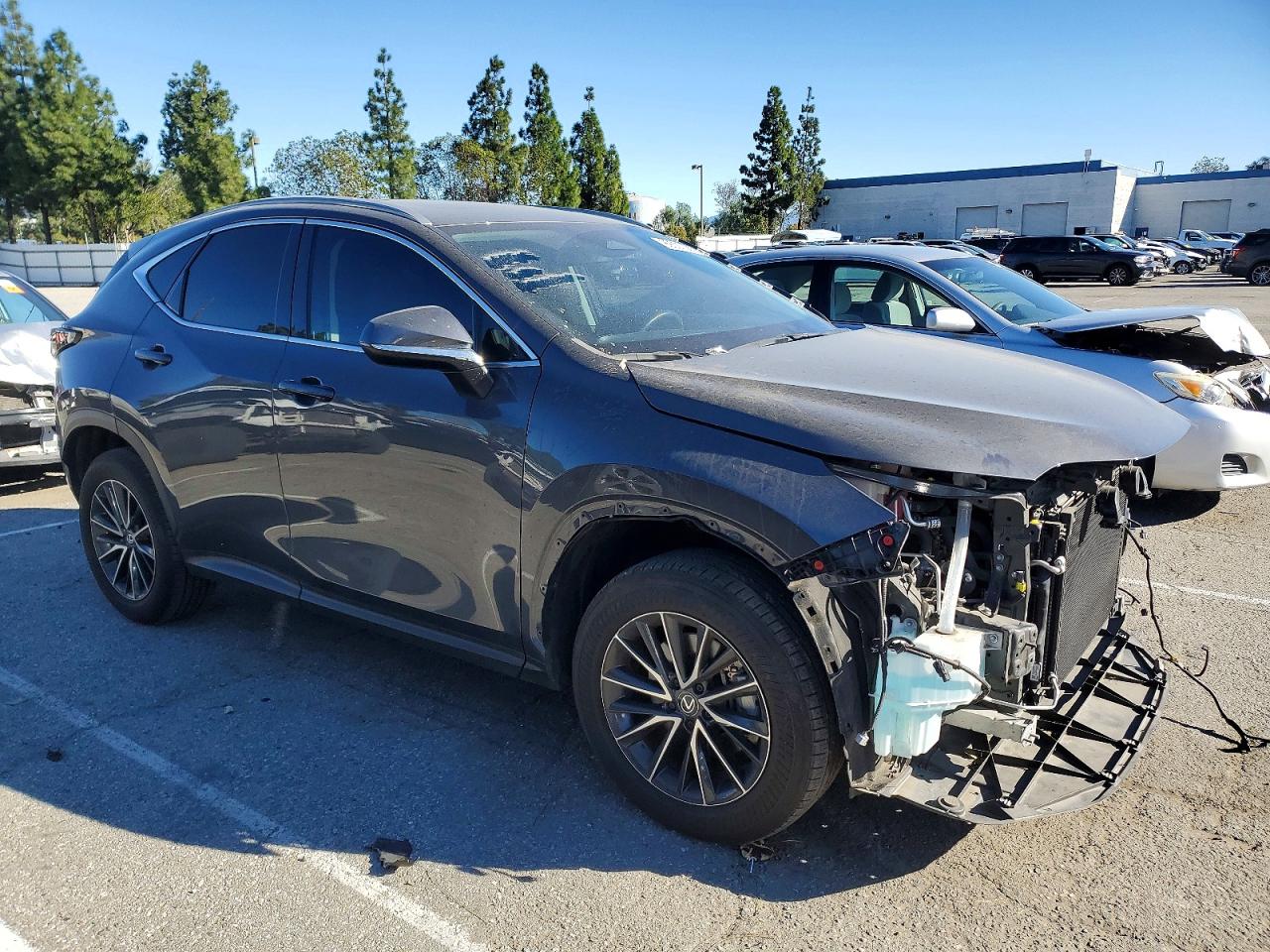 2024 LEXUS NX 350 BASE photo 4