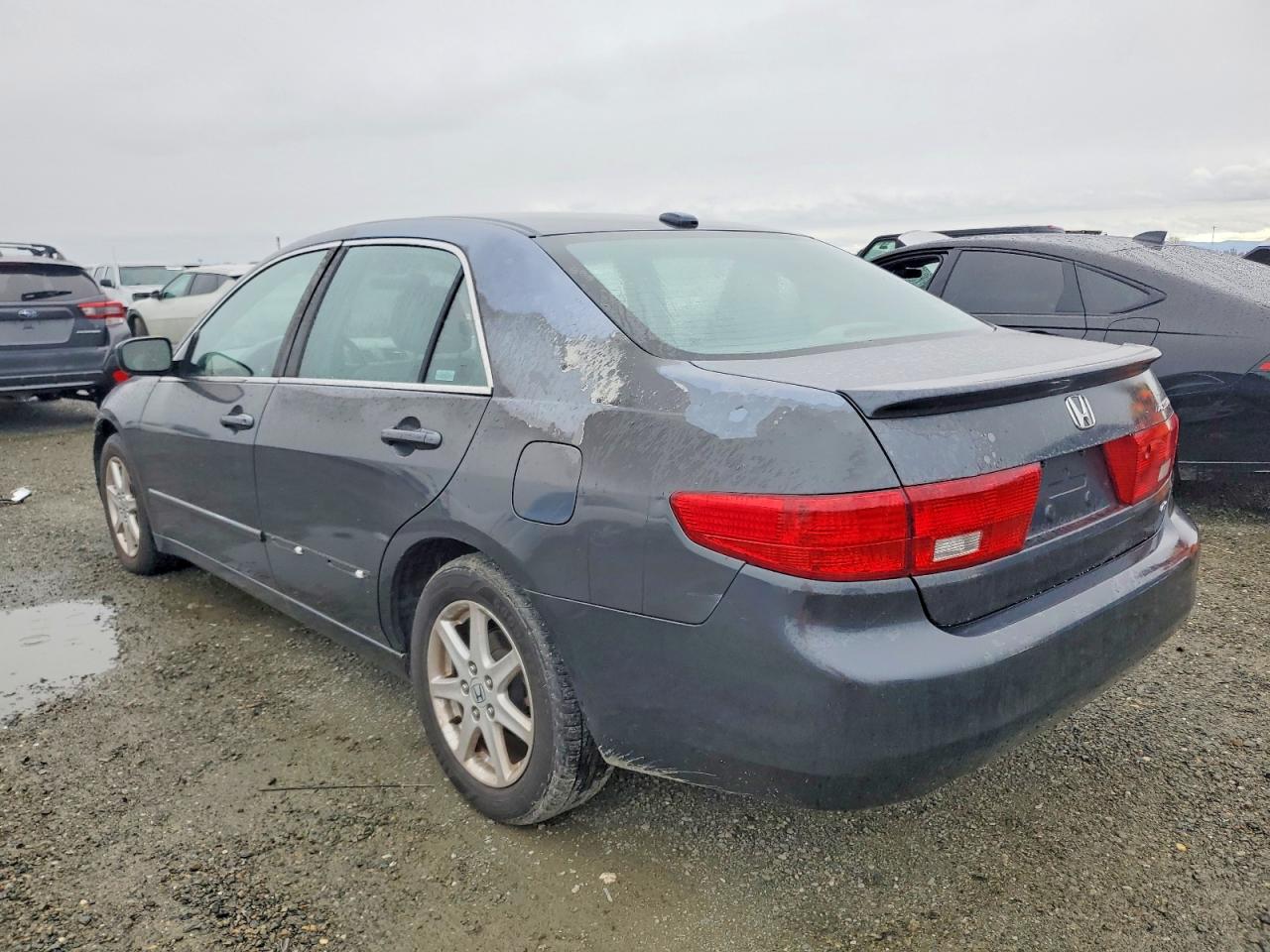 2005 HONDA ACCORD EX photo 2