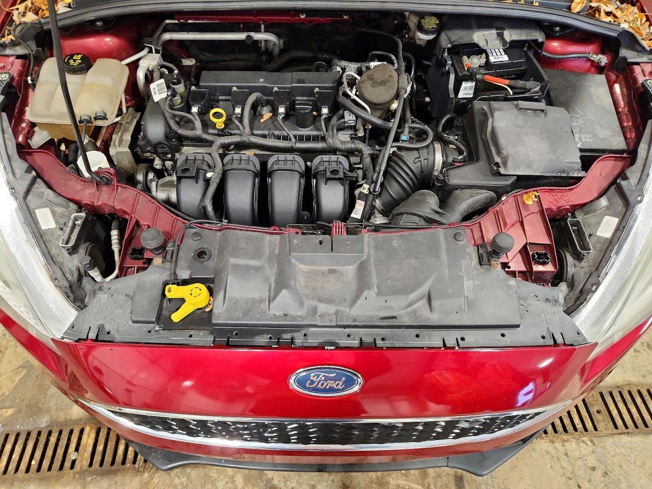 2015 FORD FOCUS SE photo 11