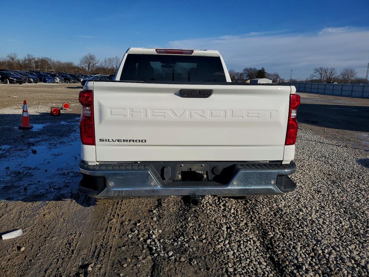 2020 CHEVROLET SILVERADO K1500 photo 6