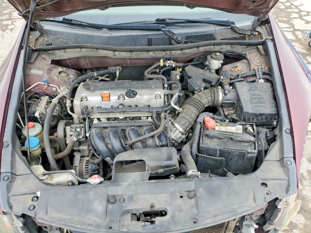 2010 HONDA ACCORD LXP photo 21