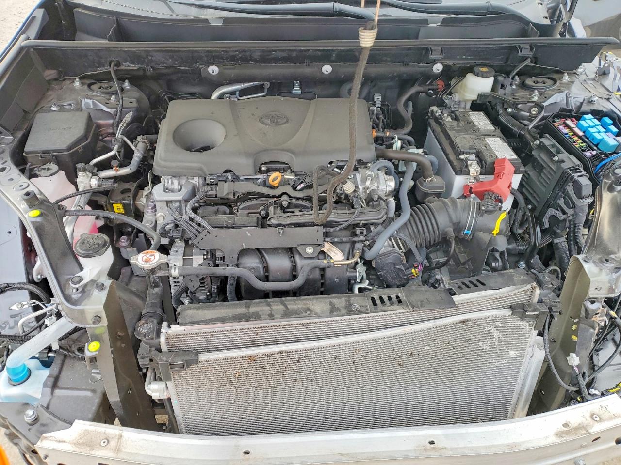 2025 TOYOTA RAV4 XLE photo 12