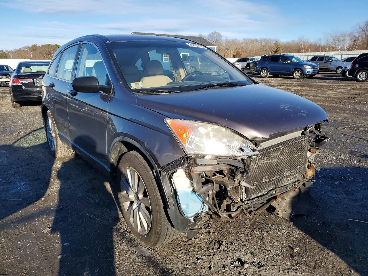 2009 HONDA CR-V LX photo 4