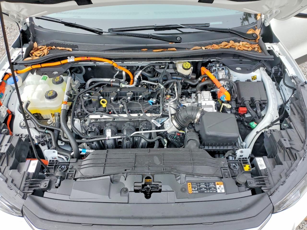 2025 FORD ESCAPE ST LINE SELECT photo 12