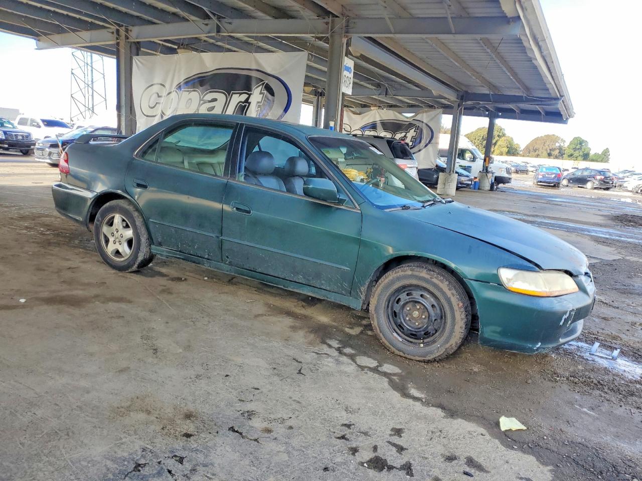 1999 HONDA ACCORD EX photo 4