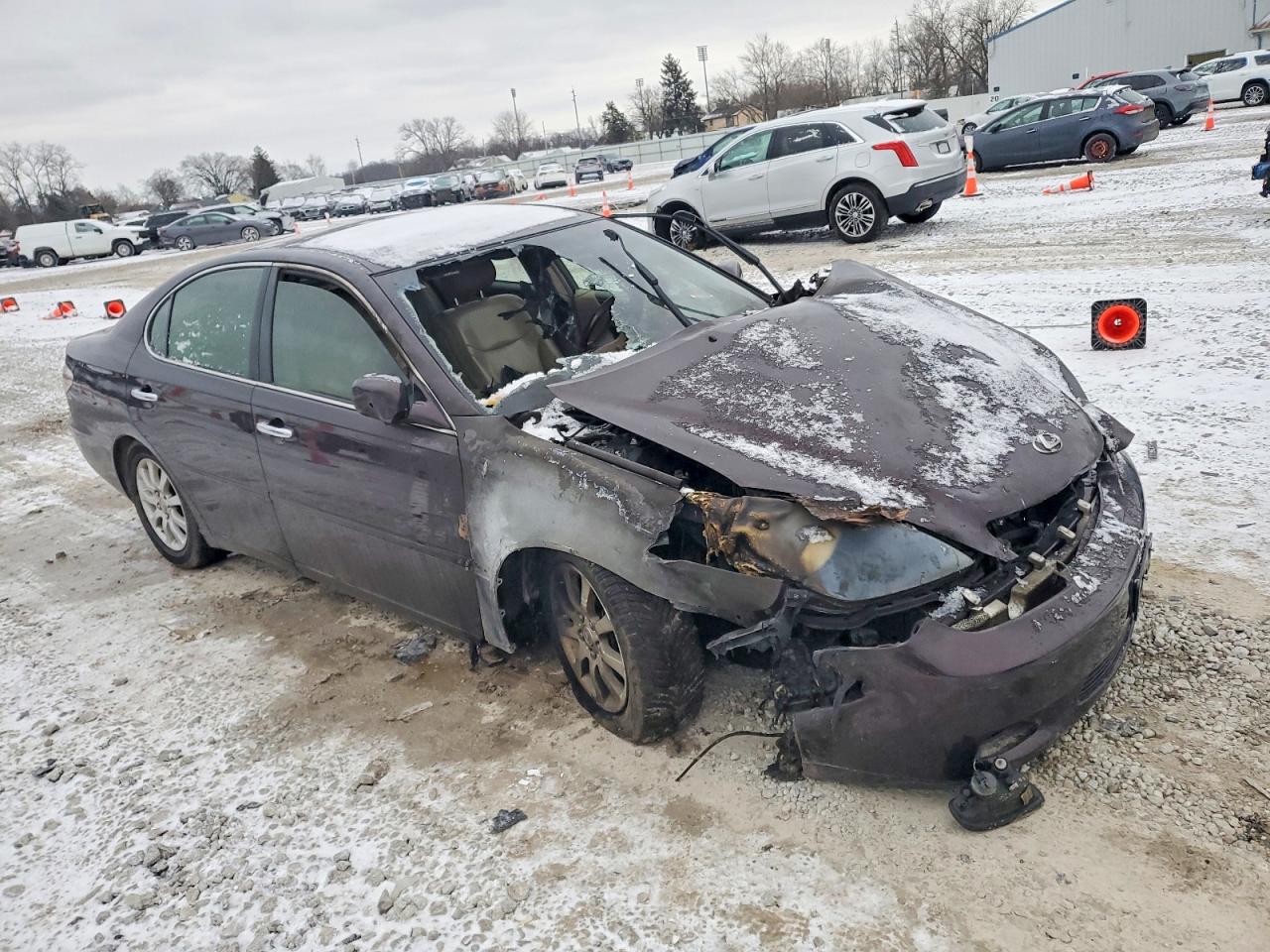 2002 LEXUS ES 300 photo 4