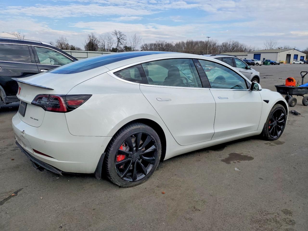 2019 TESLA MODEL 3 photo 3