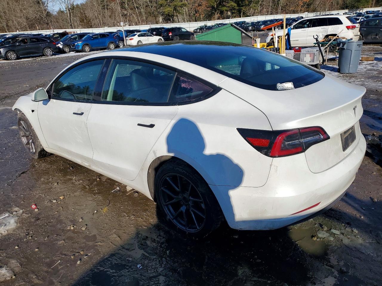 2023 TESLA MODEL 3 photo 4