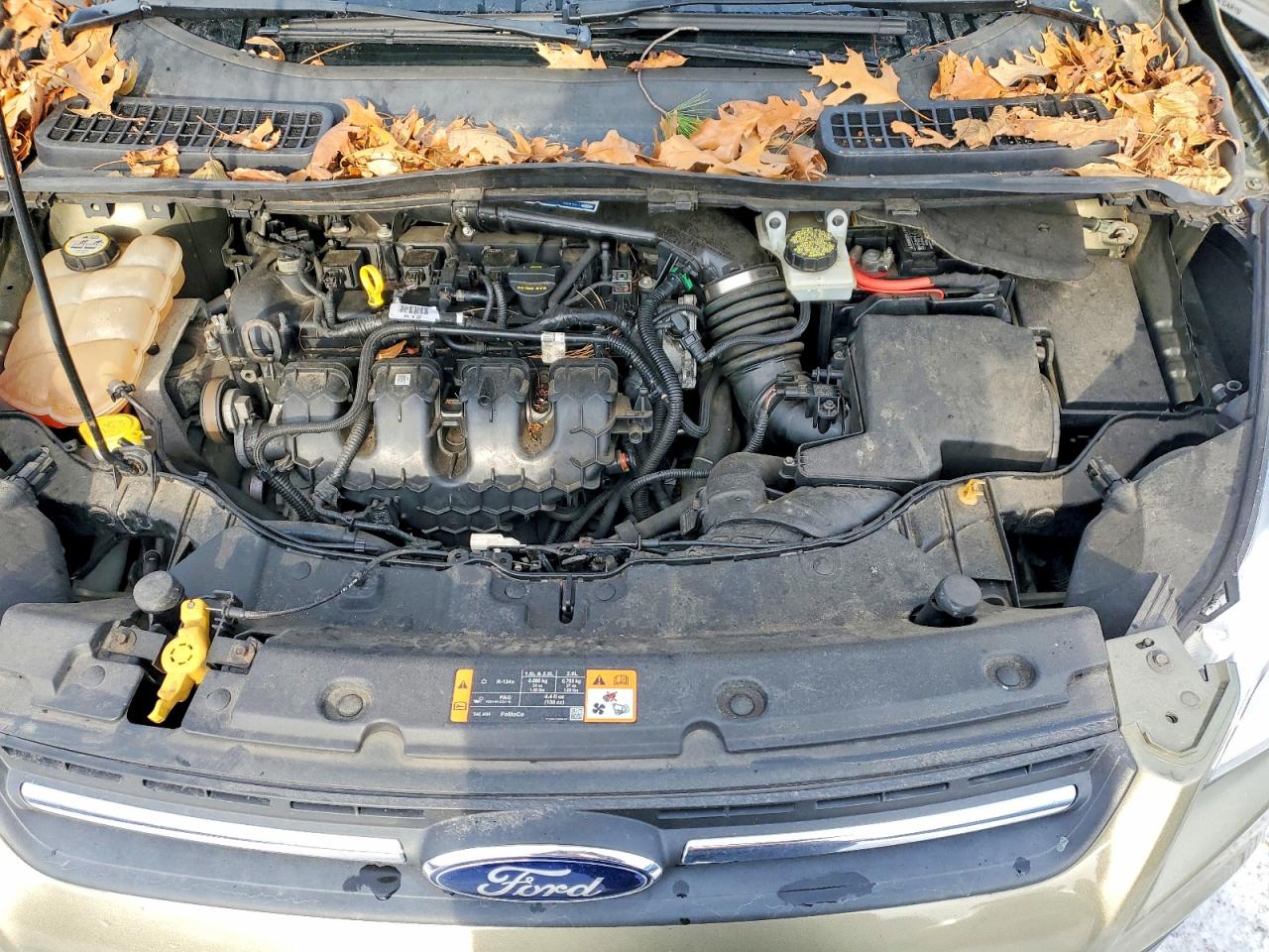 2013 FORD ESCAPE SE photo 12
